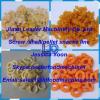High productivity Automatic Screw/shell/chips frying food extrusion machine