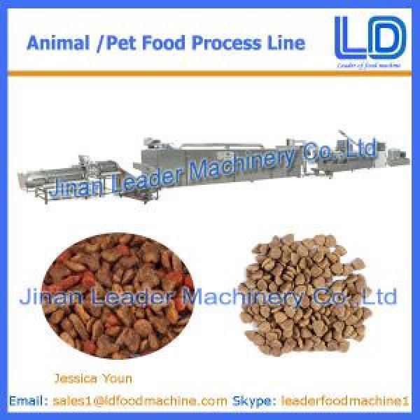 Big Capacity Cat,dog ,fish treats /pet food Processing Equipment #1 image
