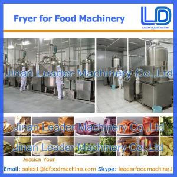 Big Capacity Automatic Fryer food machines price #1 image