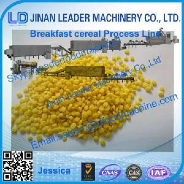 Corn flakes processing line  frosted corn flakes processing line #1 image