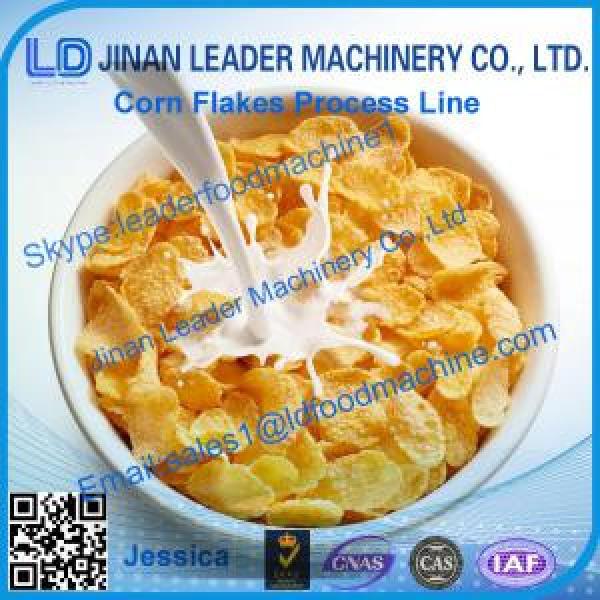 corn flakes extruding processing line #1 image