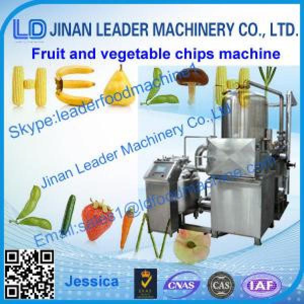 Fruit and Vegetable Chips Production equipment #1 image