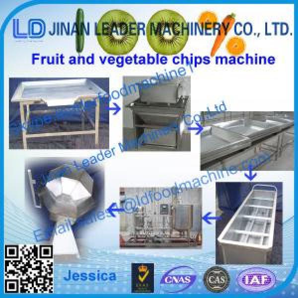 Fruit and Vegetable Chips Processing line #1 image