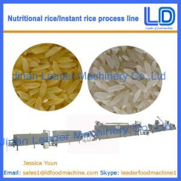 Instant Rice/Nutritional Rice Food making machinery #1 image