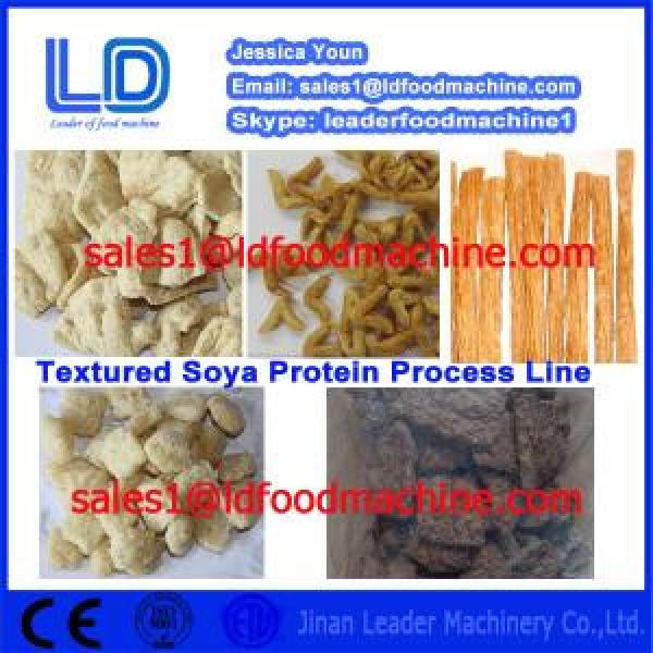 China Manufacturer Automatic Solcon S Vegetarian Soya Meat process line #1 image